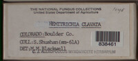 Image Associated With the Occurence